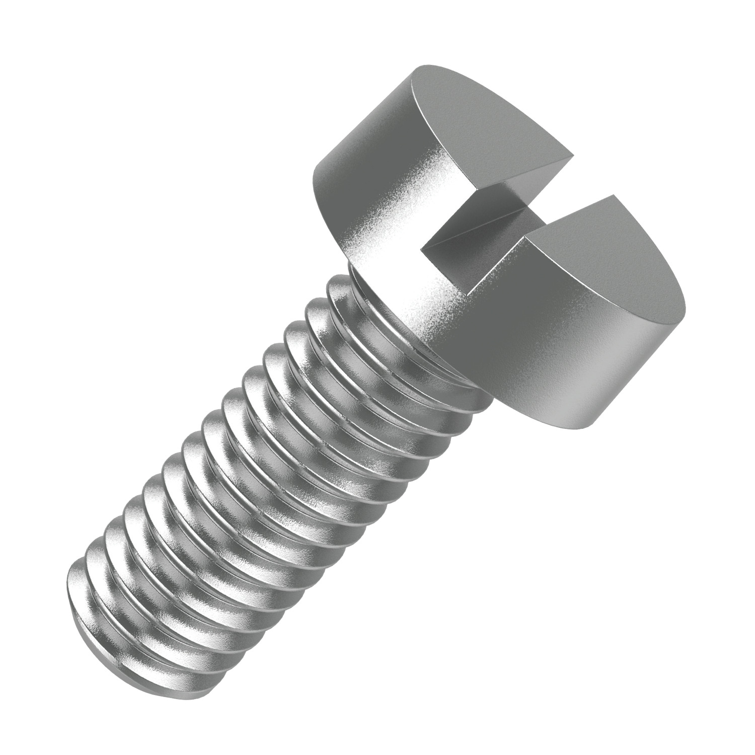 T0001.T2 - Slotted Cheese Head Screws