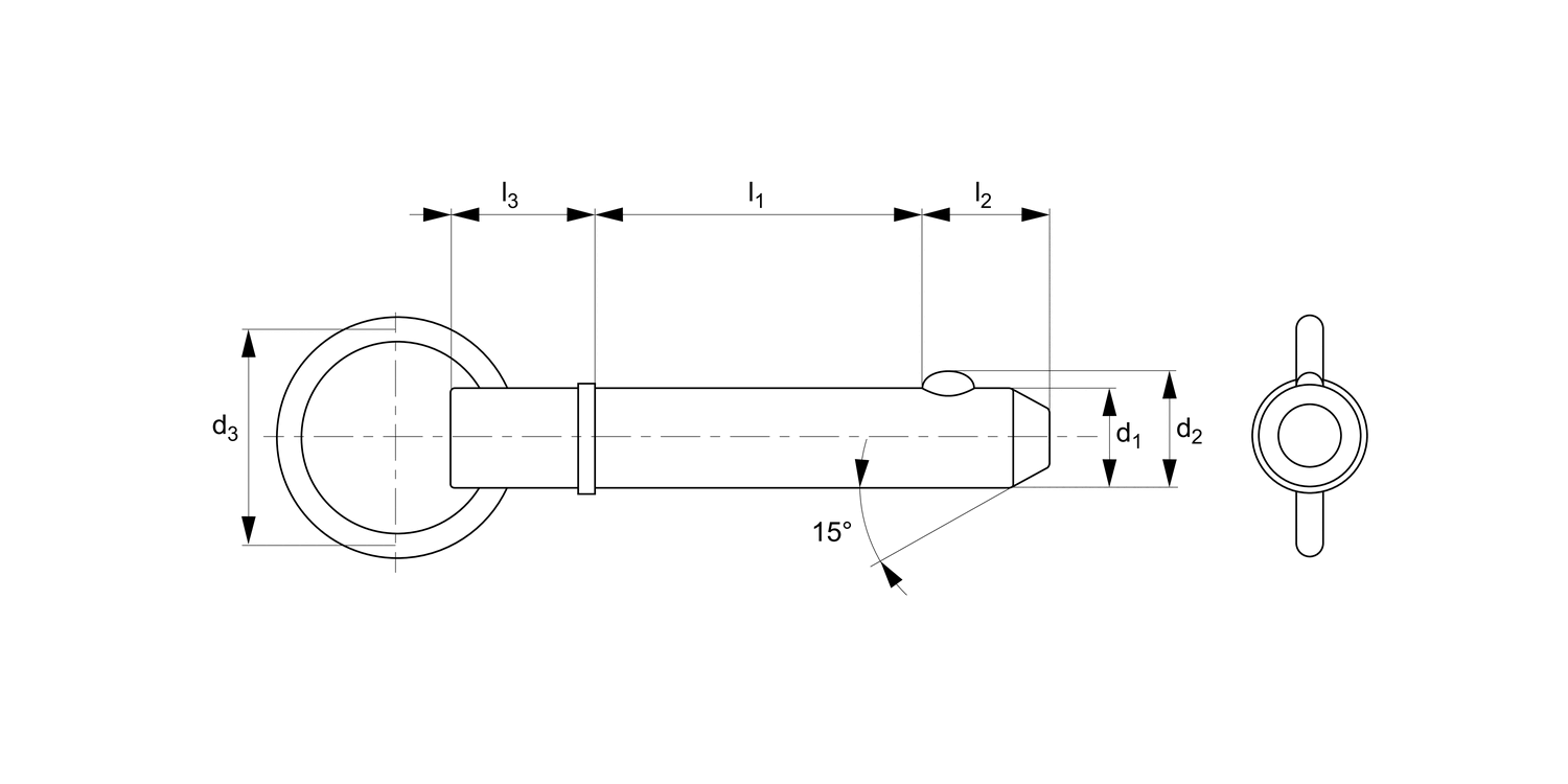 PP1210 Detent Pin - Ring Handle - Shoulder